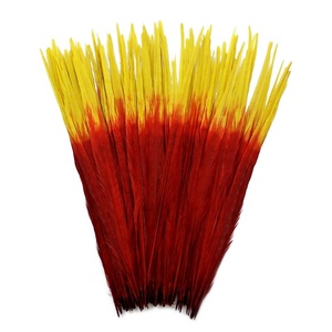Mẹo Màu 50-55Cm Hai <span class=keywords><strong>Tone</strong></span> Ringneck Gà lôi Đuôi Lông Cho Lễ Hội Samba Lễ Hội Trang Phục Trang Trí - Product Image 1