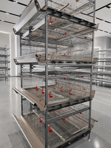 Jaula Automática <span class=keywords><strong>para</strong></span> Aves de Corral <span class=keywords><strong>para</strong></span> Granjas de Gallinas Ponedoras con Sistema de Alimentación y Bebederos - Product Image 1