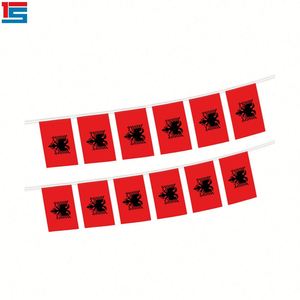 2025 Football Events 5.5x8 Inches Austria String Bunting <b>Flags</b> Wholesale Polyester Indoor and Outdoor Decoration 20pcs/set - Product Image 2