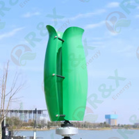 Vente chaude : Éolienne à axe vertical R&X RX-TL Tulip 1KW-20KW, aimant permanent, sortie AC 12V/24V/48V, diamètre de rotor personnalisé