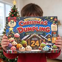 Calendrier de l'Avent de Noël 2026 – Compte à rebours de 24 jours – Jouet sensoriel anti-stress en forme de dumpling – Boîte surprise – Ensemble de jouets sensoriels