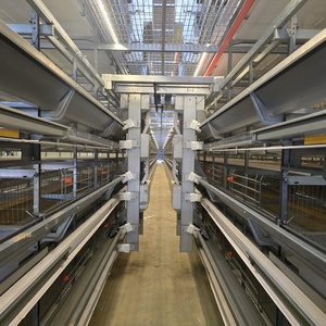 4-Tier thép gà trứng Pin cagescondition tầng động vật lồng cho gà trang trại - Product Image 3