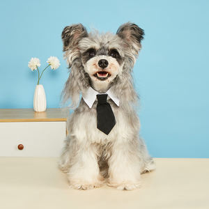 Tanpopo Schattige Hondenhalsband Met Hals En Stropdas Verstelbaar Sterpatroon Accessoire Verkleedfestivals Duurzaam Blauw Doek Kraag - Product Image 6