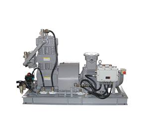 Compresor de butano industrial BT4 de alta presión, montado sobre patines, de servicio pesado, tipo pistón refrigerado por agua de conexión directa - Product Image 2