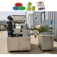 Ligne de production de savon mini 1000 kg - Coupeuse et mélangeuse entièrement automatiques avec alimentation 380V/200V/240V