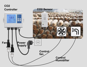 <span class=keywords><strong>CO2</strong></span> Monitor Controller, dispositivo di controllo <span class=keywords><strong>CO2</strong></span> a parete WiFi per il controllo <span class=keywords><strong>CO2</strong></span>, temperatura, umidità per la casa, l'ufficio o la scuola - Product Image 2