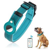 Huisdier Leverancier Custom Nieuwe Aankomst Interactieve Stevig Geïnstalleerd Anti-Verloren Reflecterende Airtag Grote Halsband Houder Gps Tracker Air