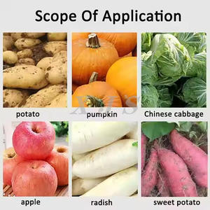 <span class=keywords><strong>Broyeur</strong></span> <span class=keywords><strong>professionnel</strong></span> d'aliments pour animaux de grande capacité hachoir à légumes - Product Image 6