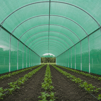 Filet de protection solaire en maille verte tissé en HDPE anti-UV pour jardin, couverture de plantes, protection extérieure