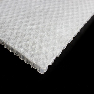 Panel de núcleo de nido de abeja de polipropileno CE PP, borde biselado de 45 grados con superficie no tejida <span class=keywords><strong>para</strong></span> piscina y industria marina - Product Image 5