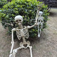Article phare 2026 : Décoration de fête d'Halloween – Squelette en plastique articulé pour la vente en gros