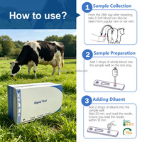 Kit de test rapide PAG bovin, cassette de test vétérinaire pour la détection précoce de la gestation chez les bovines