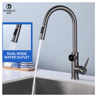 Robinet numérique intelligent de cuisine contemporain en acier inoxydable de haute qualité à poignée unique thermostatique avec conception rétractable