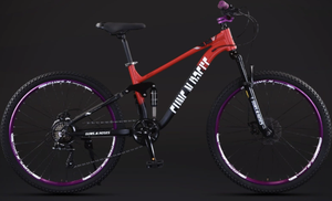 Groothandel Aluminium Alloy Voorvering 27.5'' Travel Mountainbike 120 kg Draagvermogen Off-road <span class=keywords><strong>Butterfly</strong></span> Frame - Product Image 4