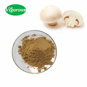 pure natural 30% polysaccharides white button mushroom powder / white button mushroom extract