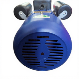 Motor Asíncrono Monofásico Serie YL-90-1.1KW-4 - Product Image 1