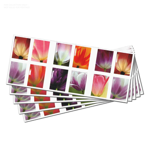 Estampillas Postales, Etiquetas de Impresión, Originales Individuales, 20 Estampillas Conmemorativas 2023, Flores de Tulipán, Papel, Estampillas Postales Americanas - Product Image 4