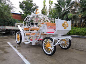 Chariot de tourisme électrique en forme de citrouille à faible consommation d'énergie, fourni directement par l'usine - Product Image 5