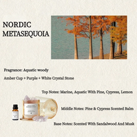Diffuseur de parfum en pierre de cristal Novature, coffret cadeau, ornement pour la maison, chambre à coucher, parfum botanique, huiles essentielles, senteur fraîche