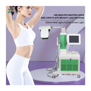Appareil de cryolipolyse laser 10D Maxlipo Master 532nm à lumière verte EMS pour la perte de graisse et le remodelage corporel, équipement de beauté - Product Image 6