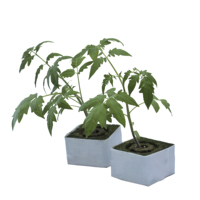 KAIHUA KH-GC Cubes de laine de roche écologiques résistants au feu pour la culture hydroponique de tomates dans les serres agricoles