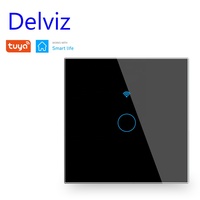 Delviz Panneau de Verre Norme UE, Interrupteur Mural à Télécommande Compatible avec Google Alexa, Interrupteur Mural Tactile Intelligent WIFI Tuya