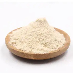 华然厂家定制单香料大蒜粉价格便宜纯正品质中国大蒜粉