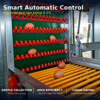 Système de cages en batterie automatique pour poules pondeuses, équipement d'élevage avicole haute densité pour poules pondeuses et machines agricoles