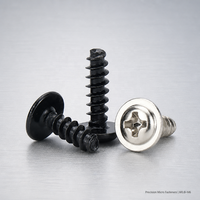 Vis autotaraudeuse à tête cylindrique micro-flangée à pointe arrondie sur mesure M0.8-M4 en acier inoxydable 304, zinguée noir, OEM pour plastique, automobile, PCB