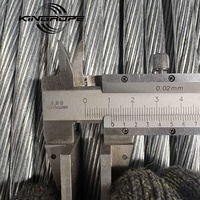Fil de tirage en acier galvanisé à chaud 1x19 à haute résistance pour tours électriques, serres et télécommunications – Vente directe usine