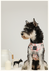 Elegant Comfortable Cotton Floral Cat Harness <b>Dog</b> Harness Adjustable Small Breed Cute Design Buckle Closure for Cats and <b>Dogs</b> - Product Image 3