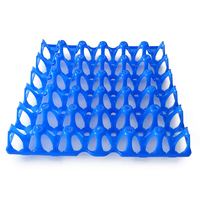 Caisse en plastique pour œufs, caisse en plastique de haute qualité pour produits