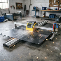 Découpeur plasma portable Rayman 220V avec moteur servo, machine de découpe de métal haute productivité, 120 kg, pour la construction et l'agriculture