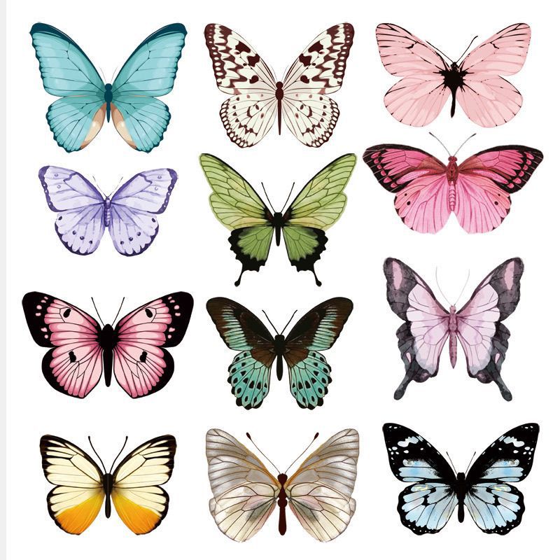 colorful buttyerfly wall sticker*5pcs