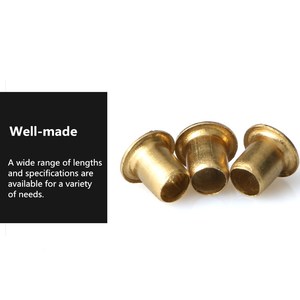 <span class=keywords><strong>Rivet</strong></span> creux <span class=keywords><strong>tubulaire</strong></span> Tubler en métal cuivré à tête ronde plate en <span class=keywords><strong>laiton</strong></span> personnalisé - Product Image 3