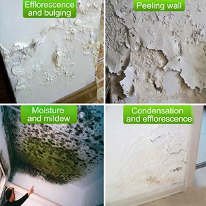 Revêtement imperméable anti-infiltration puissant et résistant à l'humidité pour la réparation des surfaces de refoulement et des fuites des murs et plafonds de sous-sol - Product Image 2