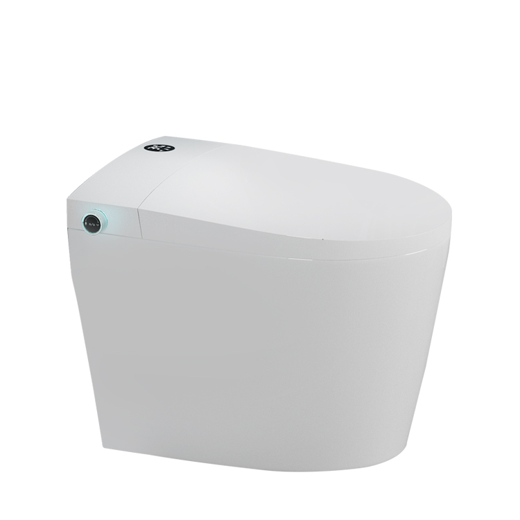 China Sanitary Ware One Piece Intelligent Smart Toilet seat bidet water closet
