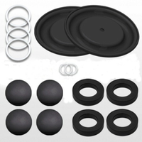 Kit de réparation PLC D0bggg pour pompe 1590 professionnelle