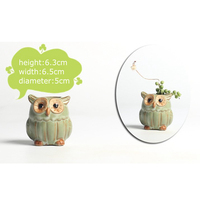 5 pièces/ensemble extérieur maison jardin décoration en céramique hibou forme jardin Pot de fleur bureau plante Pot Design créatif succulent planteur Pot