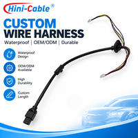 Connecteur de faisceau de câbles automobile étanche, assemblage de câbles personnalisé pour système d'éclairage et de capteurs de véhicule, fournisseur OEM