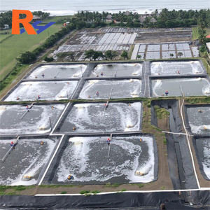 Géomembrane de 20 ans d'expérience pour les fossés de drainage, les murs de protection, les conduits de déversion d'urgence, les déchets de canne à sucre et de fécule de tapioca, et les revêtements de bassins - Product Image 2