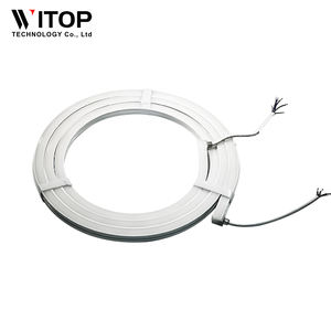 Neón de alta calidad TM1934RGB Breakpoint Función de continuación 16*16 Meteorológico Silicona Led Strip Lamp LED Flexible Strins - Product Image 4