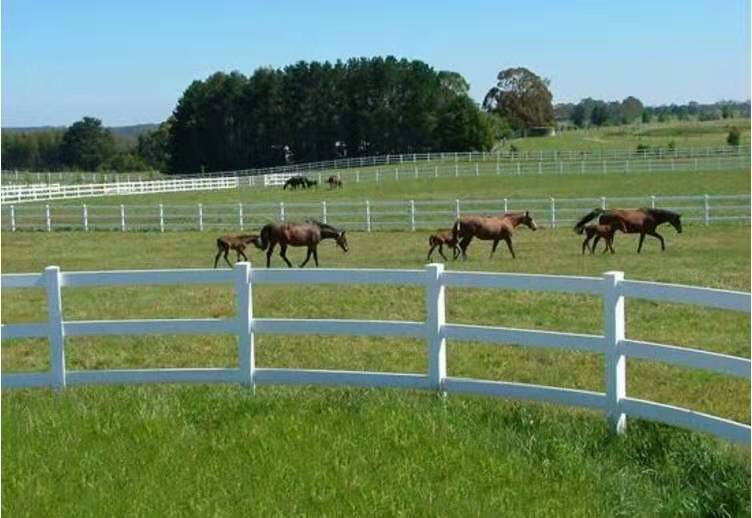 2022 PVC horse fence star stable White Road and 3 rail horse paddock farm fence white post ranch