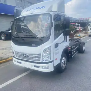 Camion fourgon Meilleure vente camion électrique à énergie nouvelle 270km autonomie constante 2.5h charge rapide cargaison électrique