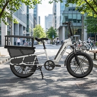Vélo de route électrique haute performance pour les trajets urbains et les sorties du week-end, vélo cargo à assistance électrique