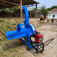 Machine mobile de coupe d'herbe 9Z-2.5Z avec moteur à essence pour le traitement de l'ensilage