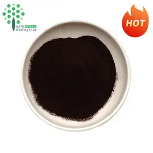 블랙 골드 차가 버섯 추출물 분말 다당류 30% 50% 베타 글루칸 - Product Image 2