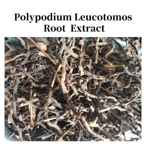 HPLC ผงอาหารเสริมเกรดอาหาร10:1สารสกัดจากรากสารสกัดจากรากดีต่อสุขภาพได้รับการรับรองฮาลาล - Product Image 2