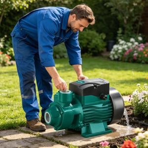 Pompe à <span class=keywords><strong>eau</strong></span> périphérique auto-amorçante à basse pression de gros volume 0,37 kW 370 W pour la circulation <span class=keywords><strong>d</strong></span>'<span class=keywords><strong>eau</strong></span> domestique - Product Image 6