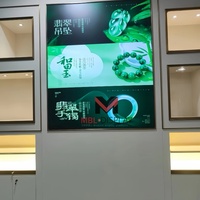 Vitrina de Pared para Joyería, Mueble de Exhibición de Jade, Vitrina Empotrada en Pared de Vidrio, Estante con Múltiples Compartimentos, Base de Almacenamiento